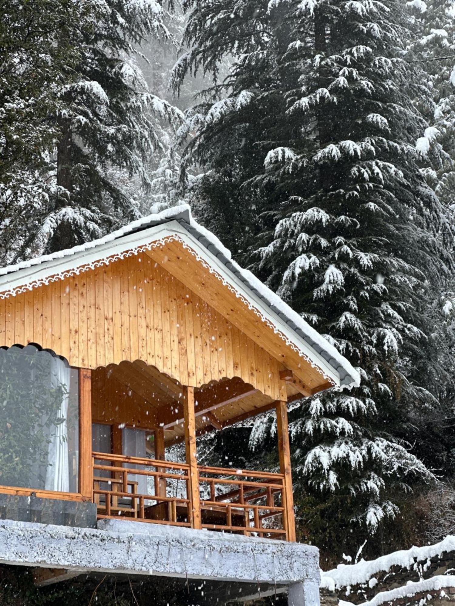 Tree House Latos Tandi Otel Jibhi Dış mekan fotoğraf
